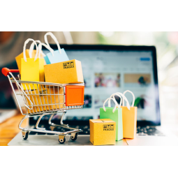 Création Mini Boutique en...